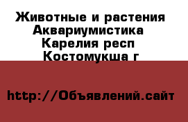 Животные и растения Аквариумистика. Карелия респ.,Костомукша г.